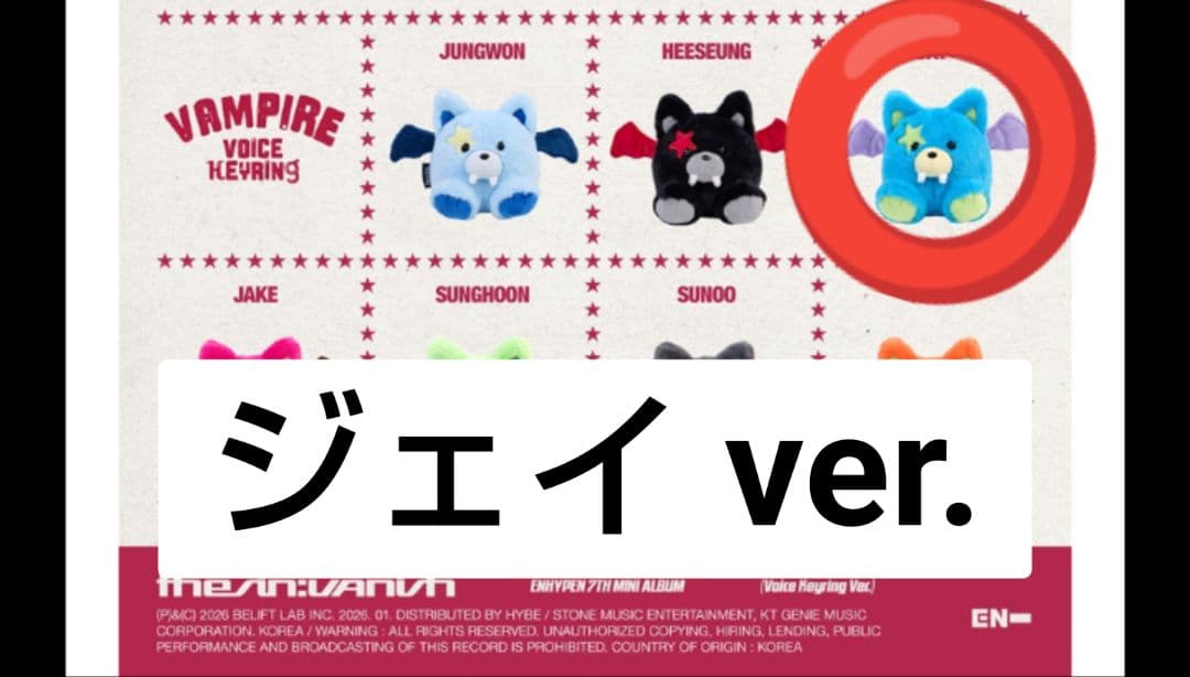 ENHYPEN THE SIN VANISH ボイスキーリング ジェイ JAY - メルカリ