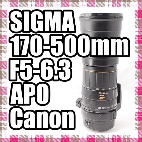 ✨超望遠レンズ✨SIGMA 170-500mm F5-6.3 APO Canon Used Sigma 170-500mm f/5-6.3 APO - Pentax Fit | MPB