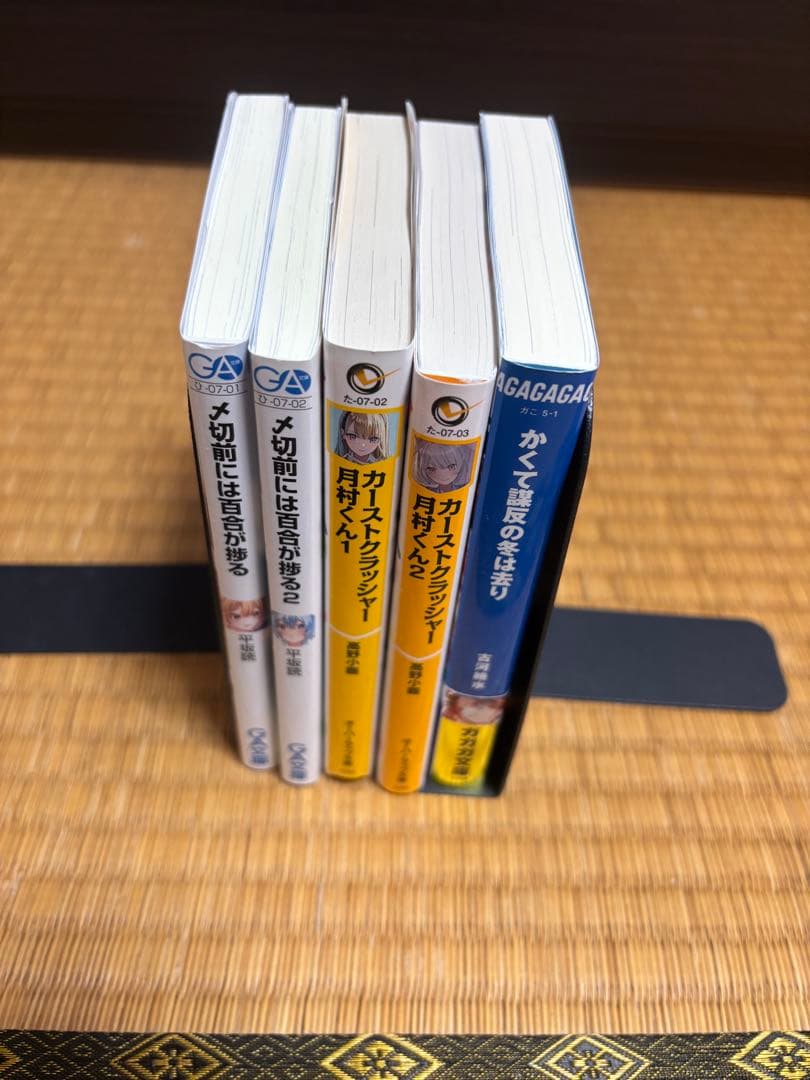 ライトノベルまとめ売り（タイトル毎のバラ売り可）