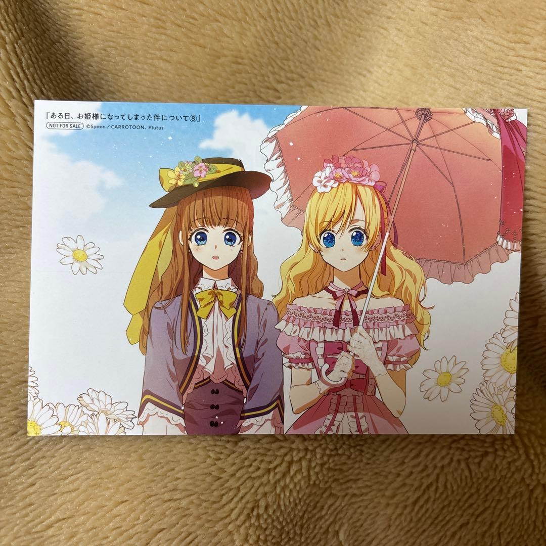 ある日、お姫様になってしまった件について13巻 完結巻 特典付き