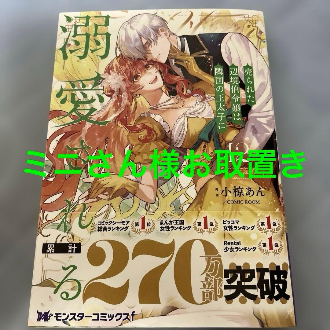 売られた辺境伯令嬢は隣国の王太子に溺愛される12 売られた辺境伯令嬢は隣国の王太子に溺愛される(12) (モンスター