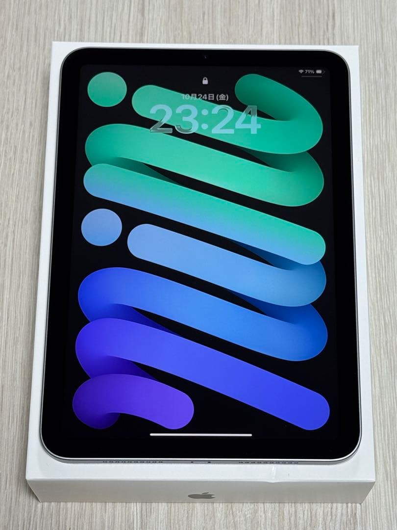 iPad mini(A17 Pro) Wi-Fi 256GB スペースグレー アップル iPad mini (A17 Pro) 8.3型 Wi-Fiモデル ストレージ：256GB