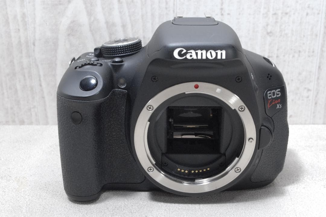 ✨Canon EOS Kiss X5✨ ダブルズーム バリアングル液晶 初心者