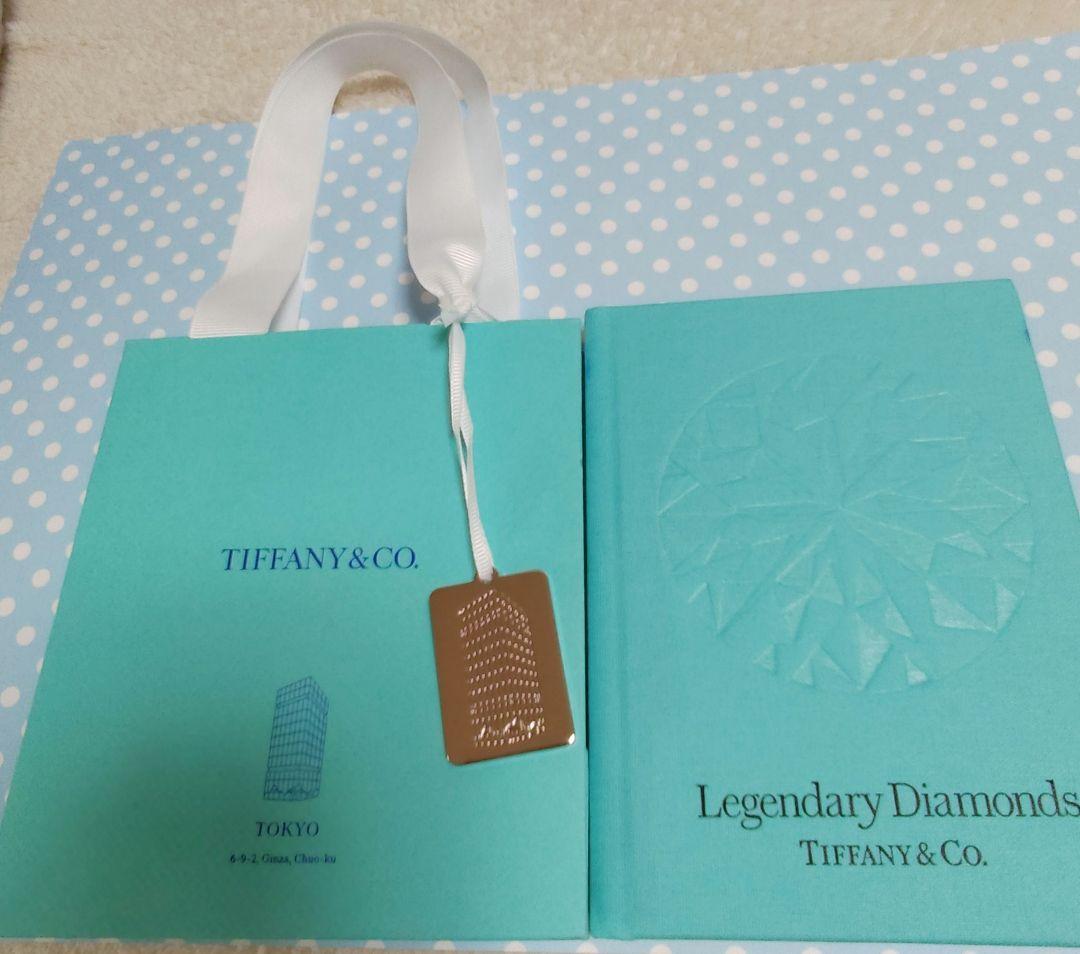 ティファニー Tiffany 銀座店限定 チャーム ショッパー 袋 カタログ