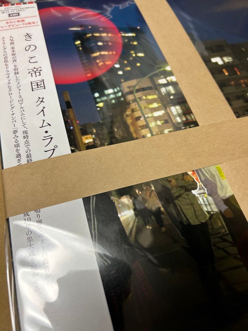 きのこ帝国 レコード 3点セット 猫とアレルギー タイムラプス 愛のゆくえ