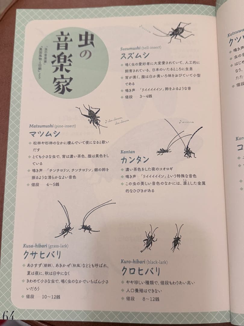 小泉八雲 『虫の詩 かそけきものの声音を愛す』小泉八雲 Lafcadio