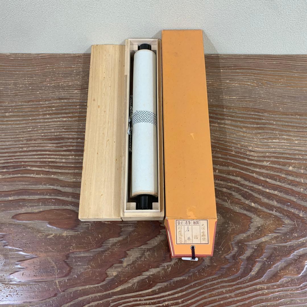 美品 掛け軸 大徳寺 大橋香林作 椿画賛「福寿海無量」共箱 禅語 茶掛け