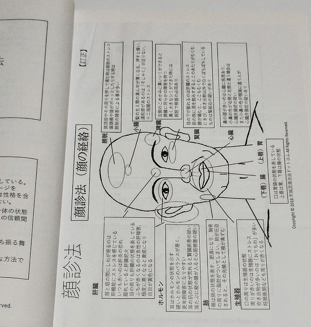 天城流湯治法 セミナーDVD 〈顔診法〉 テキスト付 杉本錬堂先生 DVD