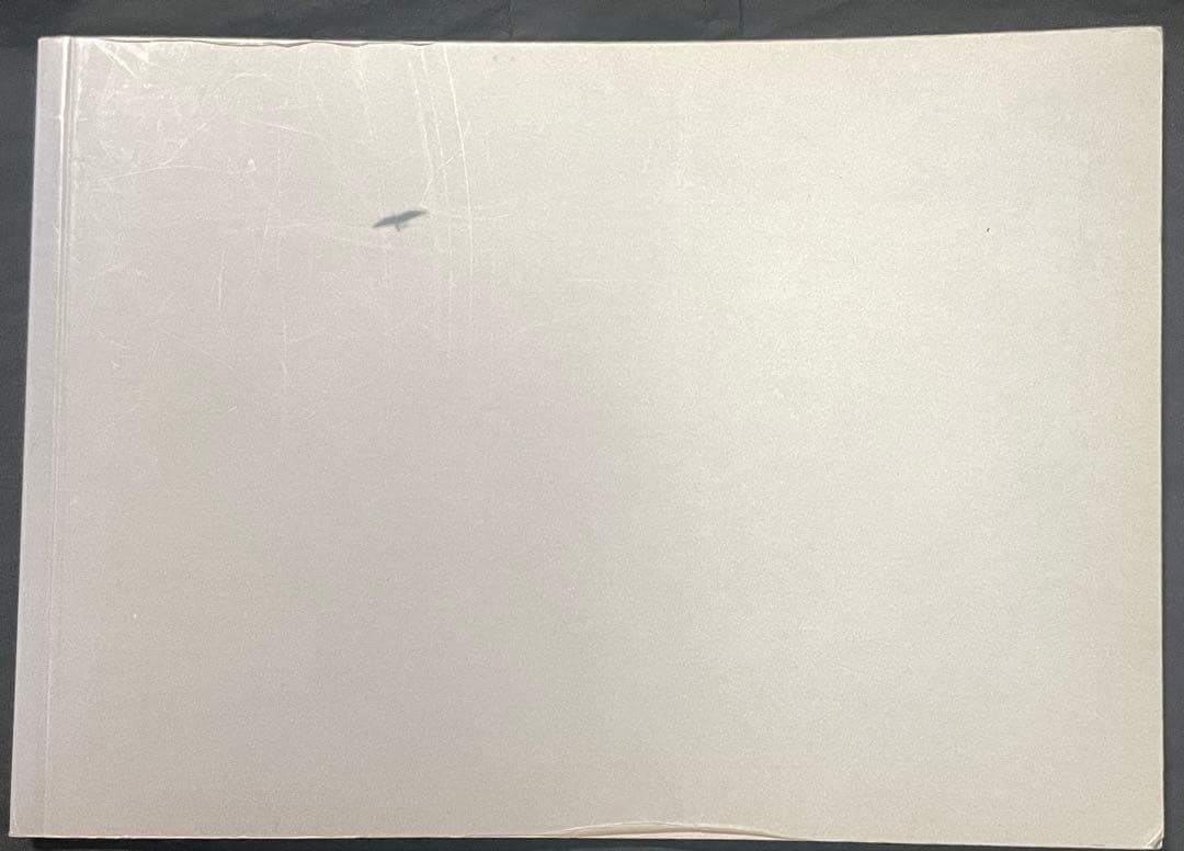 Félix González-Torres America Felix Gonzalez Torres AMERICA AMERICA | Pinault Collection