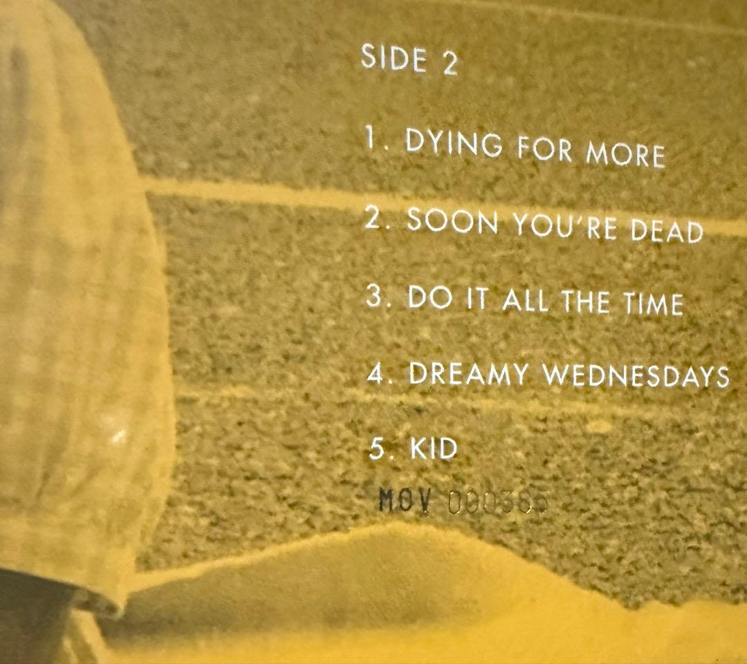 The Wannadies – Be A Girl LP 1000枚限定 - メルカリ