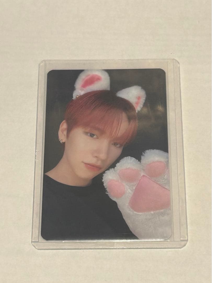 n.SSign デビューショーケース 猫トレカ 【ジュニョク】