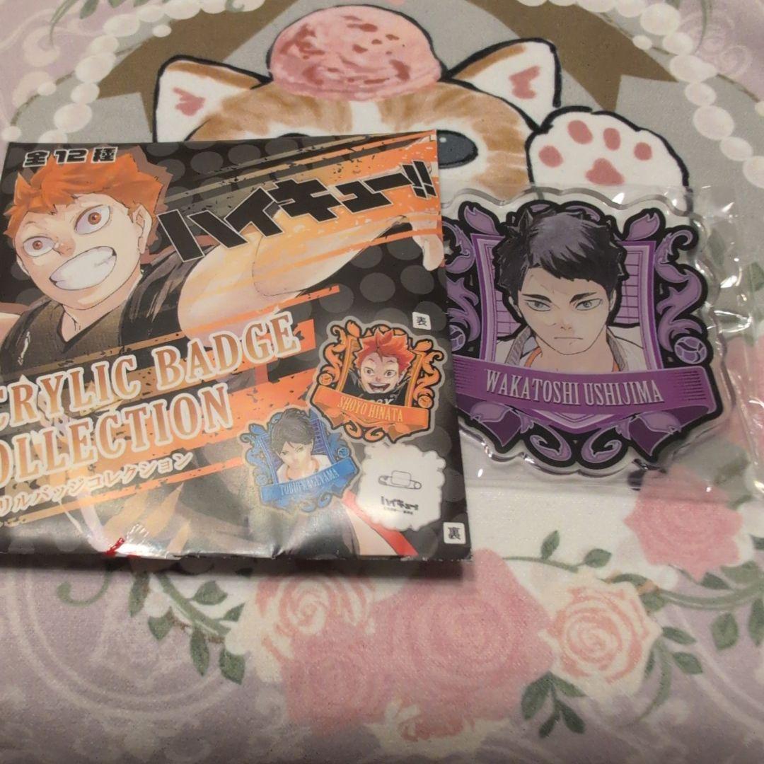 ハイキュー 牛島若利 - メルカリ