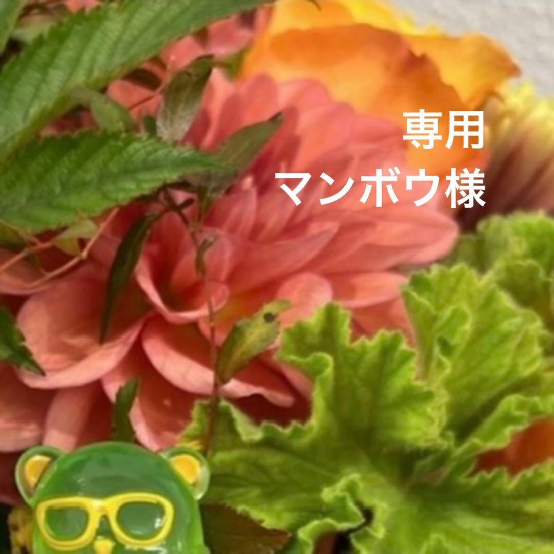 専用ページ マンボウ様 ウォークマンWALKMAN2023年モデル ブラック NW-ZX707 C ［ハイレゾ対応