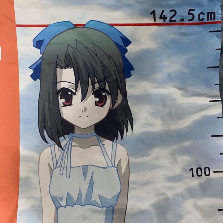 SchoolDays スクールデイズ 清浦刹那等身大タペストリー - メルカリ