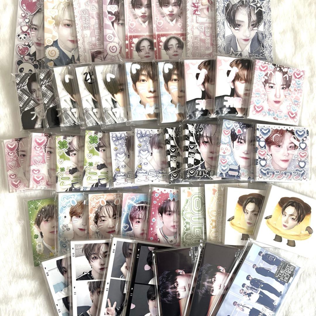 ALD1 ドムソン オーダーページ - メルカリ