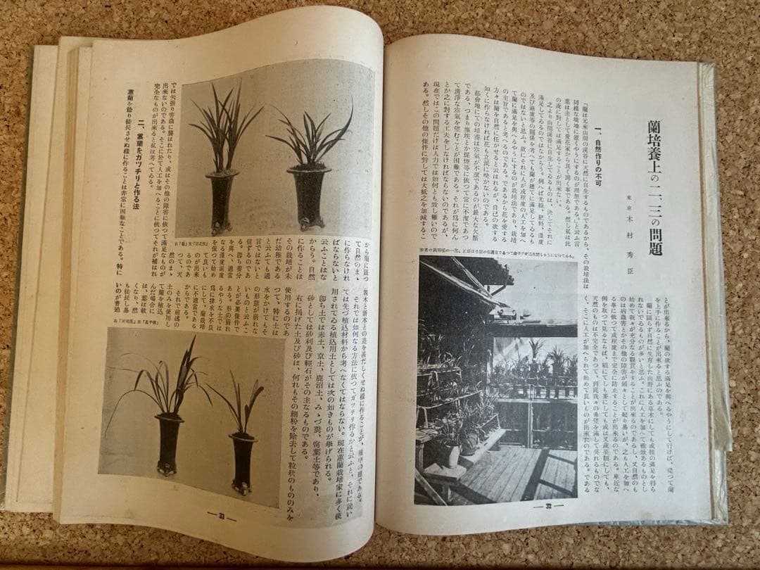 東洋蘭と西洋蘭 実際園芸叢書 第十四編 - メルカリ