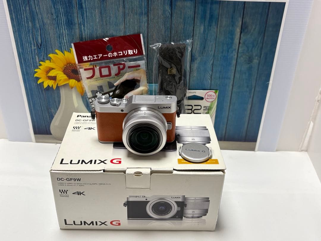 ショット数611回】LUMIX GF9 SNS Wi-Fi チルト ミラーレス - メルカリ