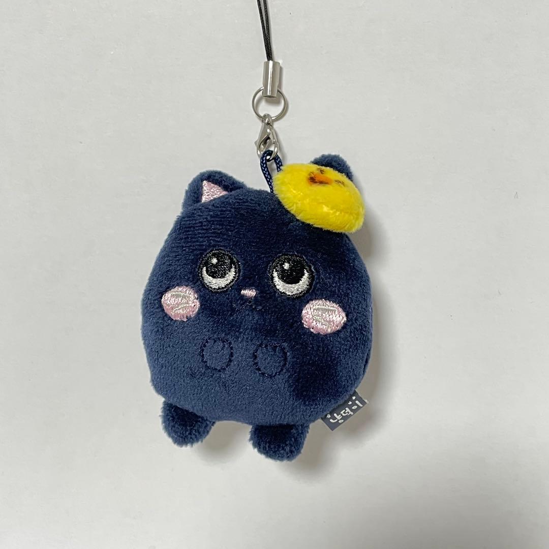 riize wonbin トニャンドク キーホルダー - メルカリ