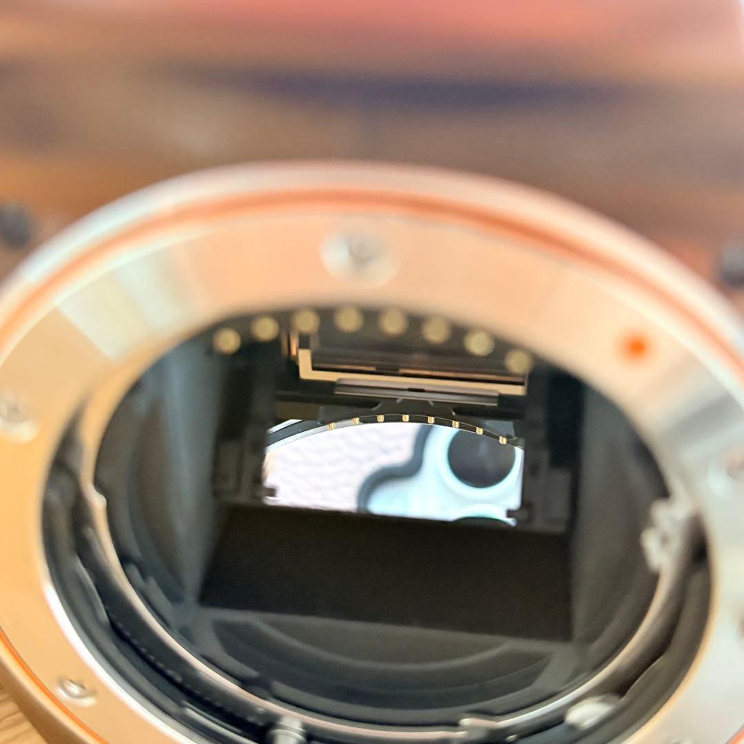 レア 希少 α330 ブラウン ジャンク SONY α デジタル一眼レフカメラ