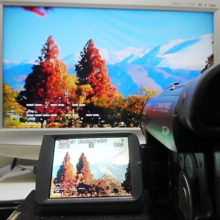 美品・動作良好 パナソニックNV-GS200 MiniDVビデオ DVD化に最適