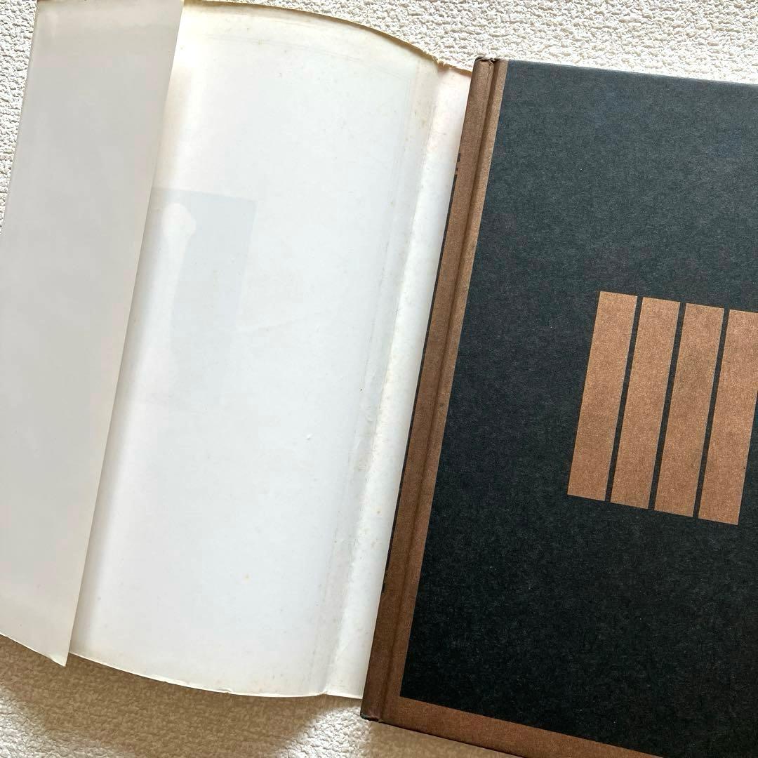 思春期と不能の愛の実験 成田朱希　初版本　北宋社