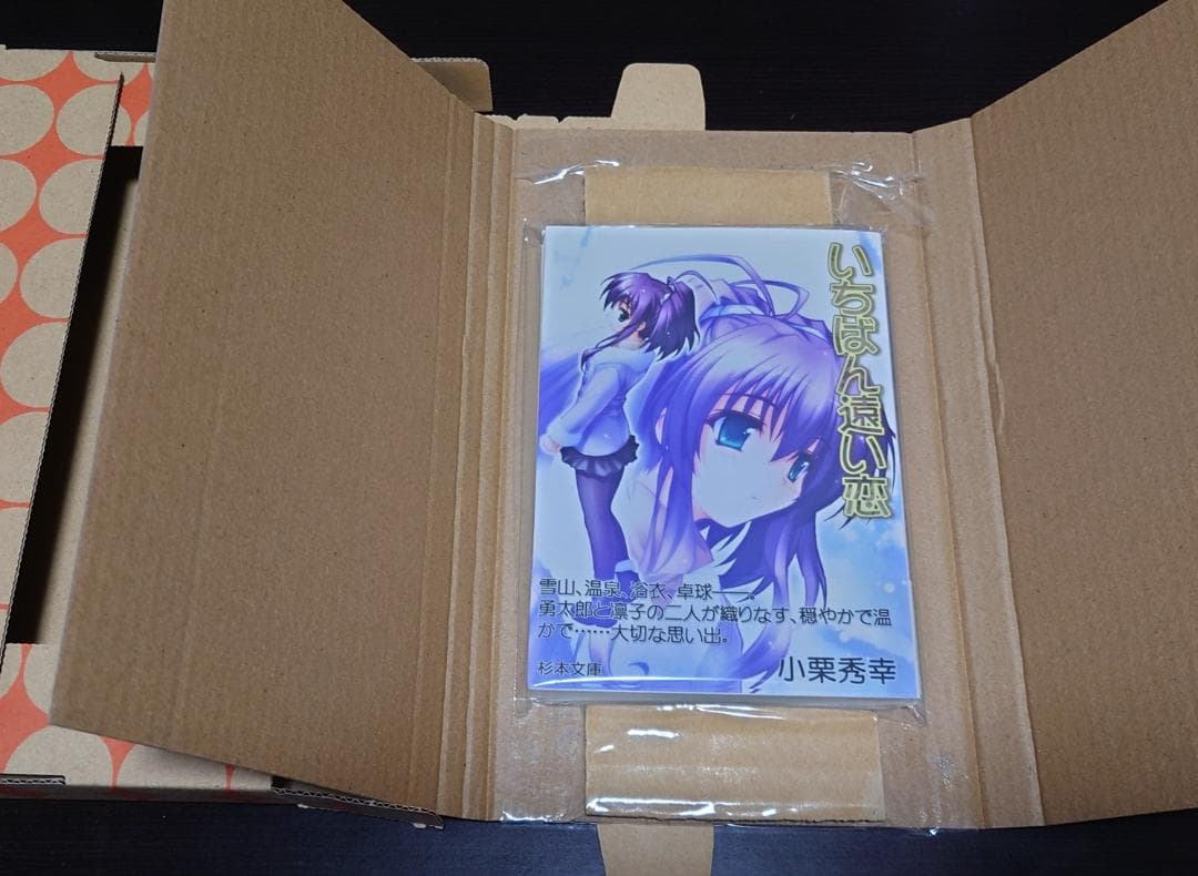 こころナビ いちばん遠い恋 小栗秀幸 杉本文庫