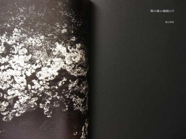 ANGO 森山大道 Daido Moriyama 直筆サイン入り - メルカリ