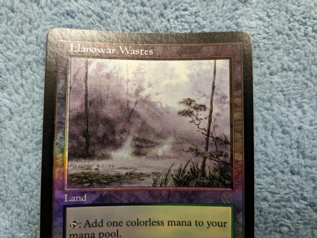 MTG【Foil/英】ラノワールの荒原/Llanowar Wastes[APC] | Shop at
