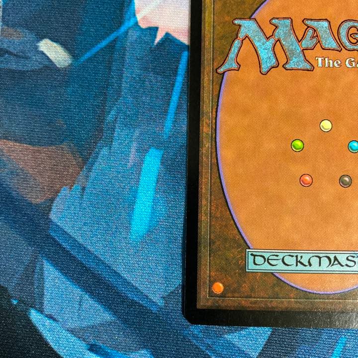 タールルームの勇士ターンガース、絵違い日本語FoilMTG タールルームの