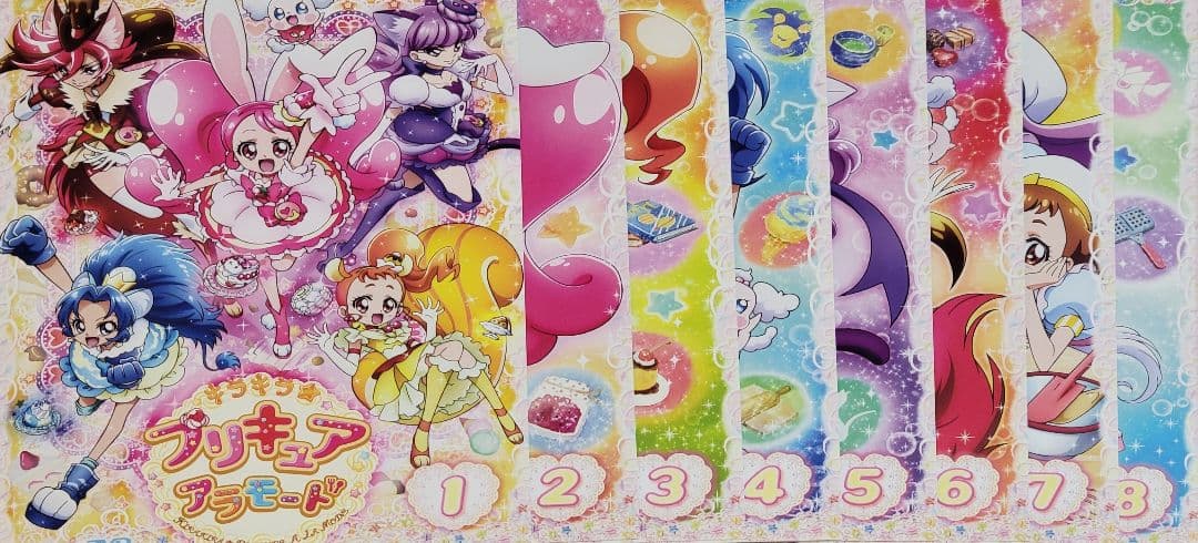 激レア 西良典 柔術 総合格闘技 VHS ビデオテープ