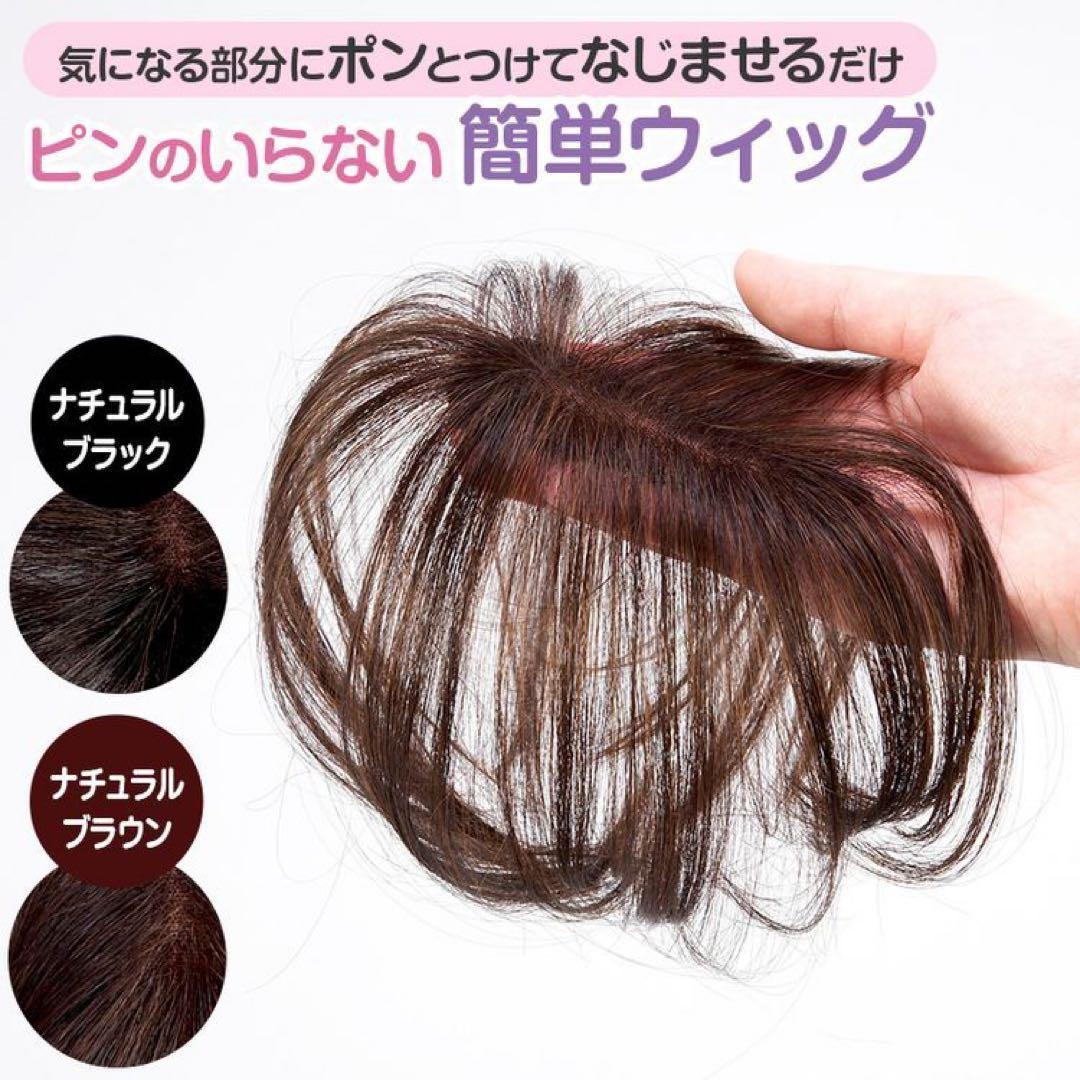 ポシュレ NAO-ART 簡単ウィッグ ナチュラルブラック ピンのいらない簡単ウィッグ | 日テレポシュレ本店 日本テレビの通販