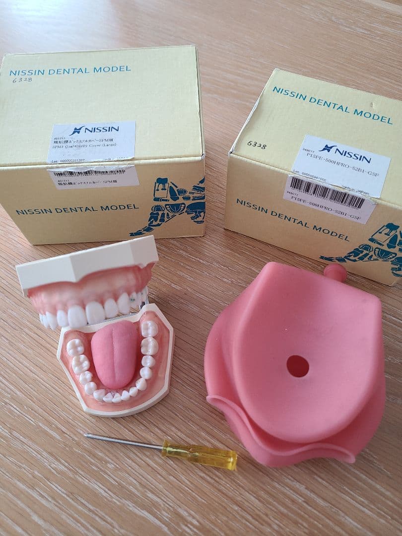 歯科衛生士 ニッシン 歯科衛生士セット 実習用模型顎模型付き