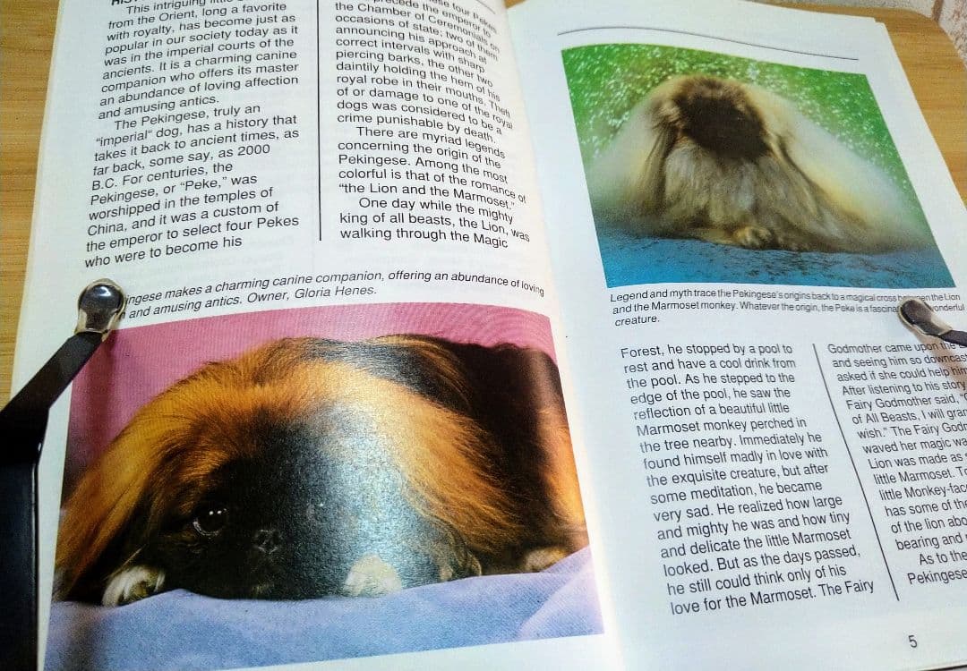 ペキニーズ書籍4冊セット 本 洋書 写真 pekingese PEKINGESE - メルカリ
