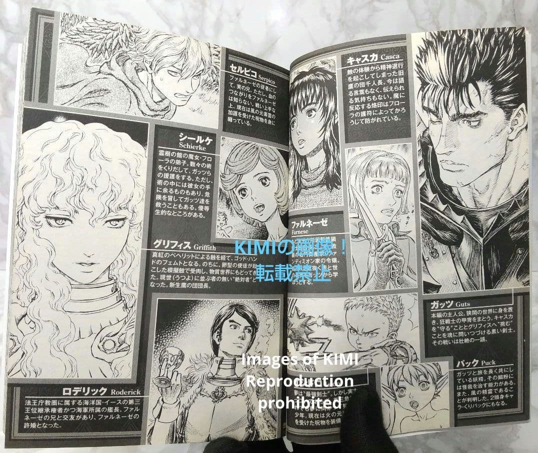 希少 初版 第1刷発行 ベルセルク 31 コミック漫画 本 2006 三浦建太郎
