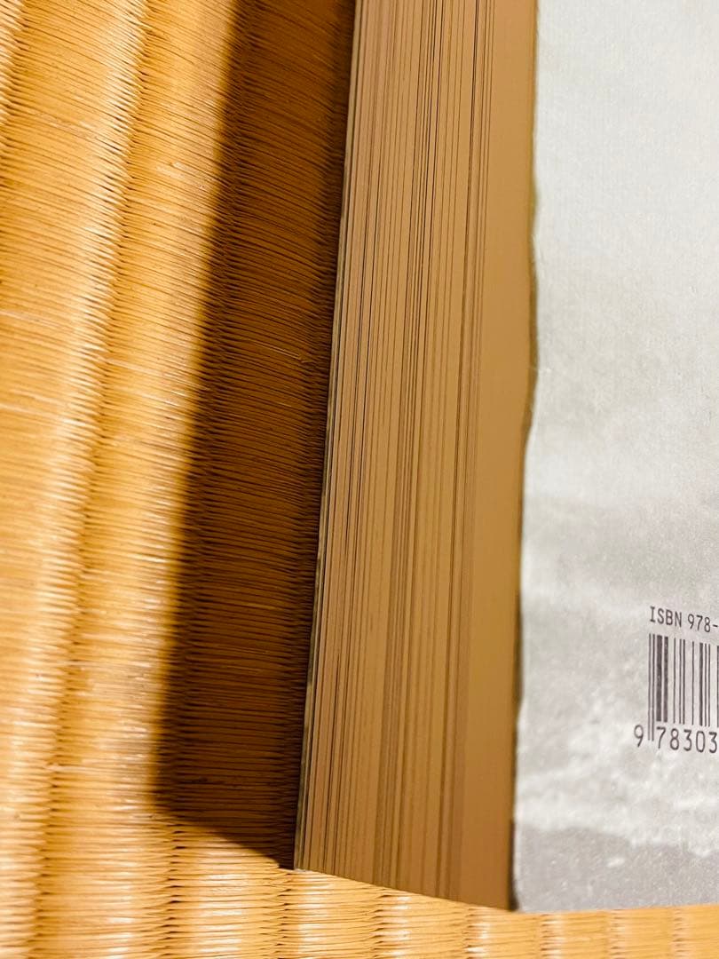 アート・デザイン・音楽 Der Wind,das Light -Visual Language ECM