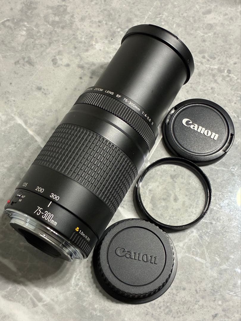 ⭐️美品⭐️キャノン Canon EF 75-300mm F/4-5.6 II
