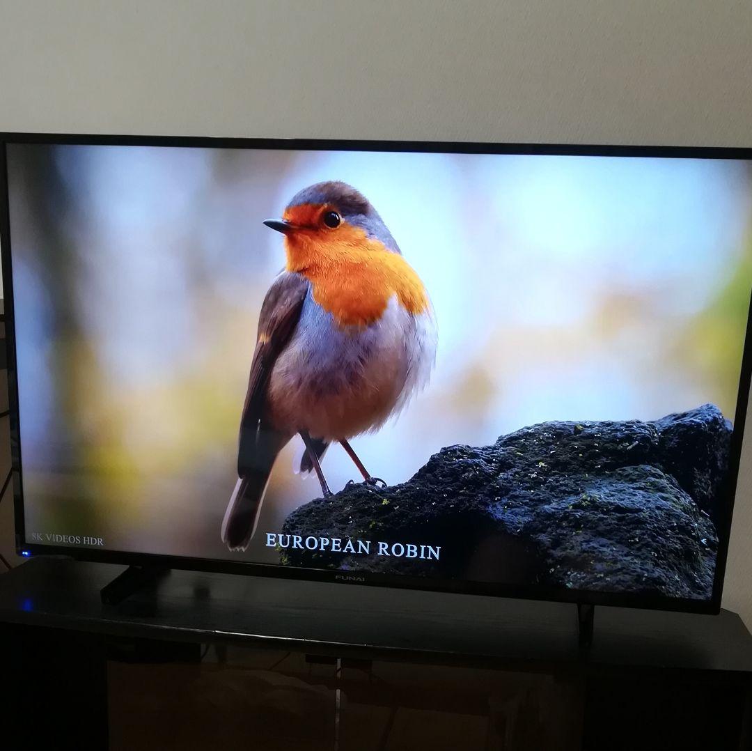 4Kチューナー内蔵／Android TV】2020年製 4K液晶テレビ
