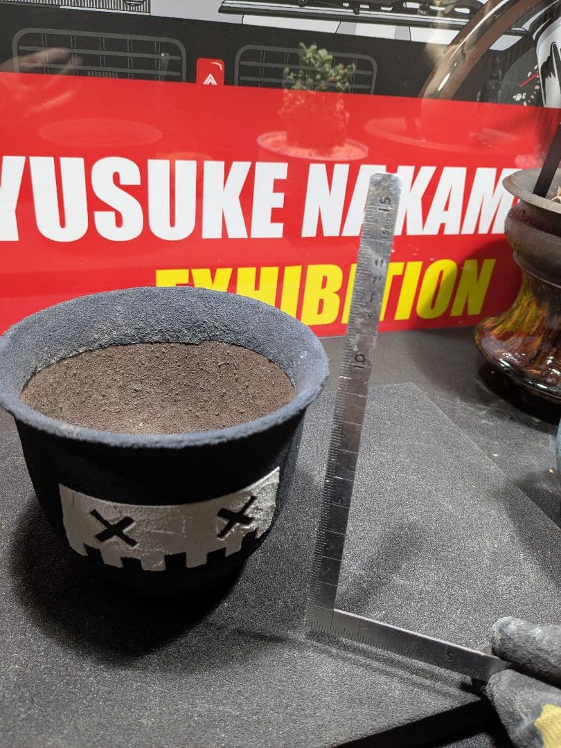 leftbotanical レフトボタニカル ✕鉢の通販はau PAY マーケット