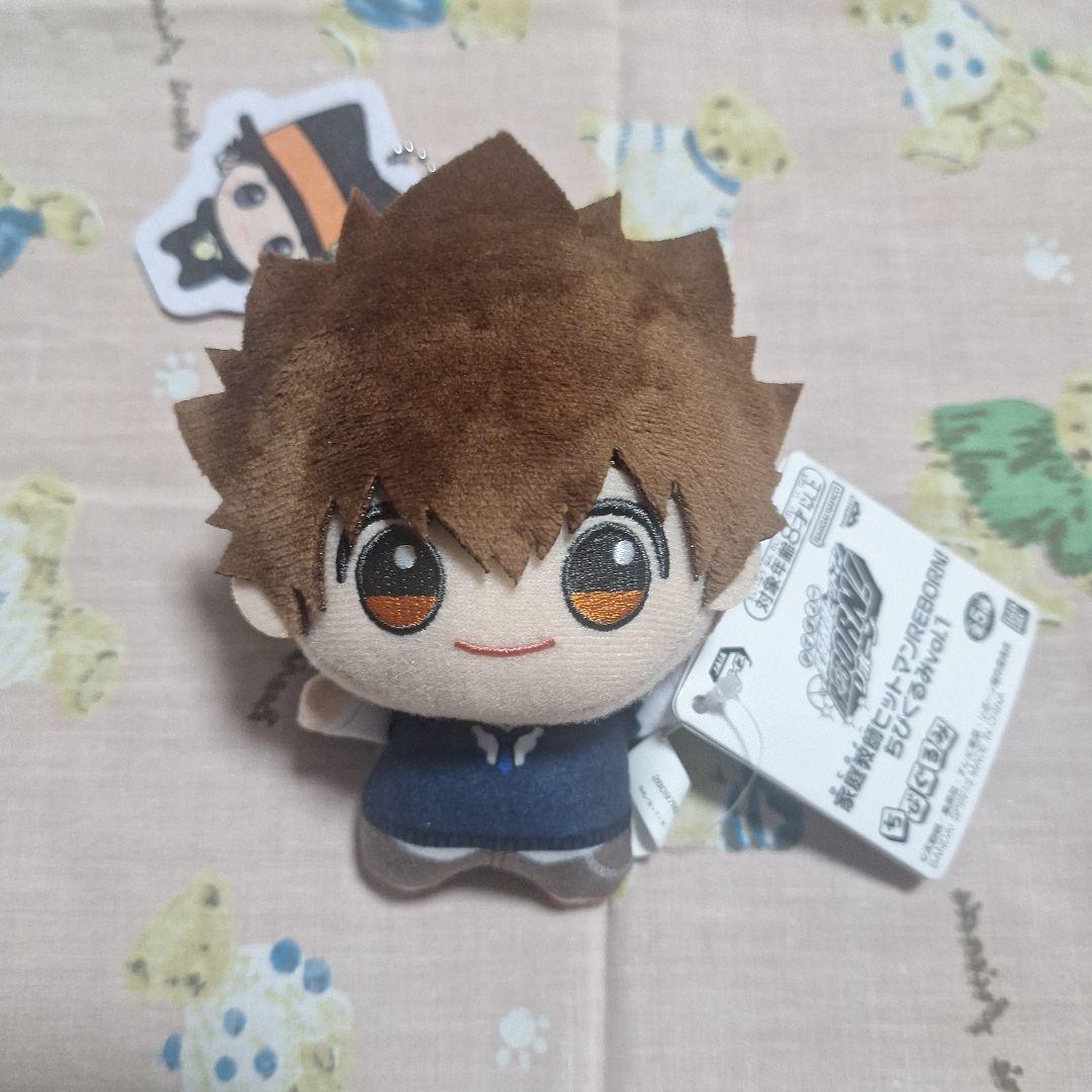 家庭教師ヒットマンREBORN ちびぐるみ 沢田綱吉 - メルカリ