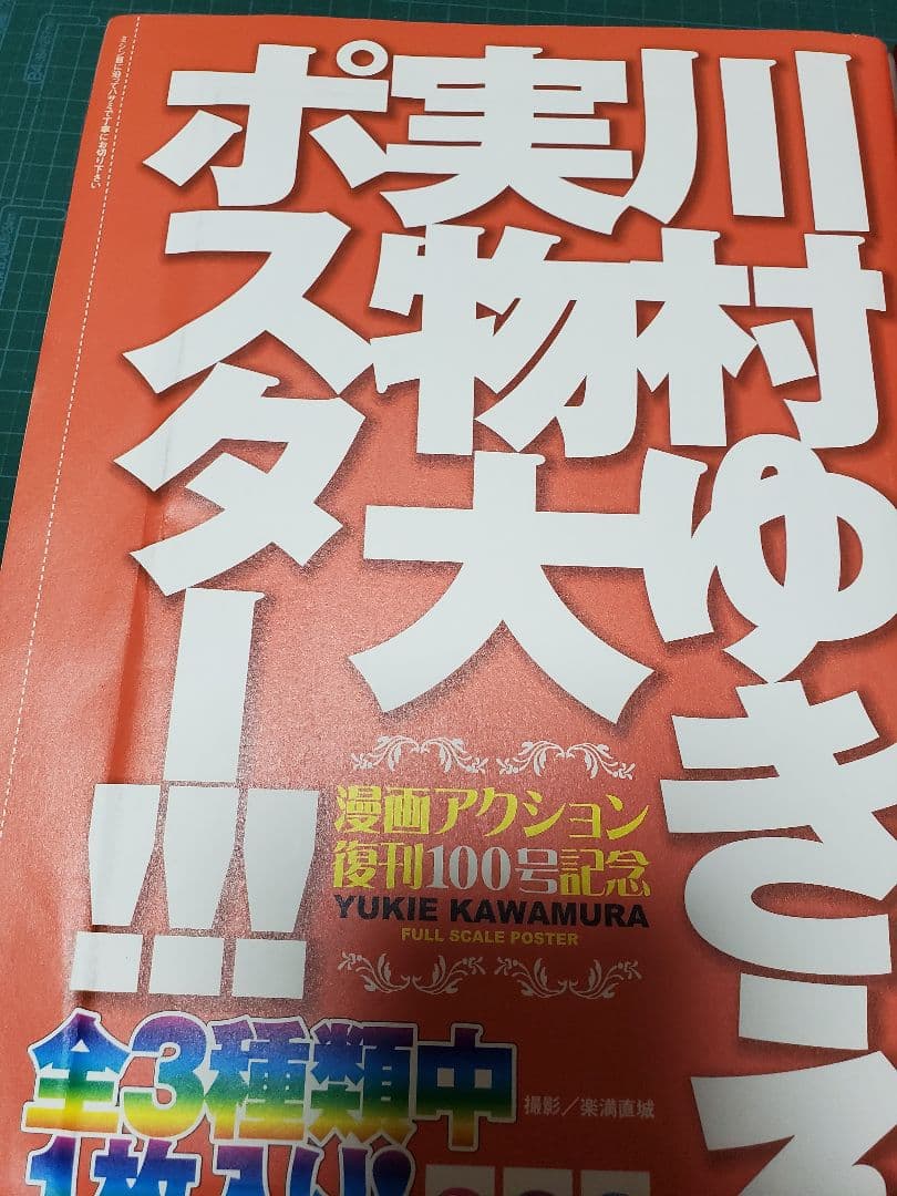 漫画アクション 2008年12号 復刊100号記念特大号 川村ゆきえ