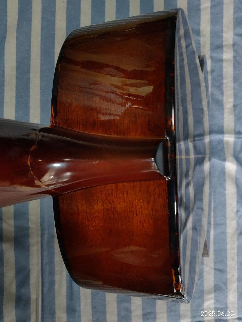 Morrisの12フレットジョイントのNYスタイルギターMY-601tsです