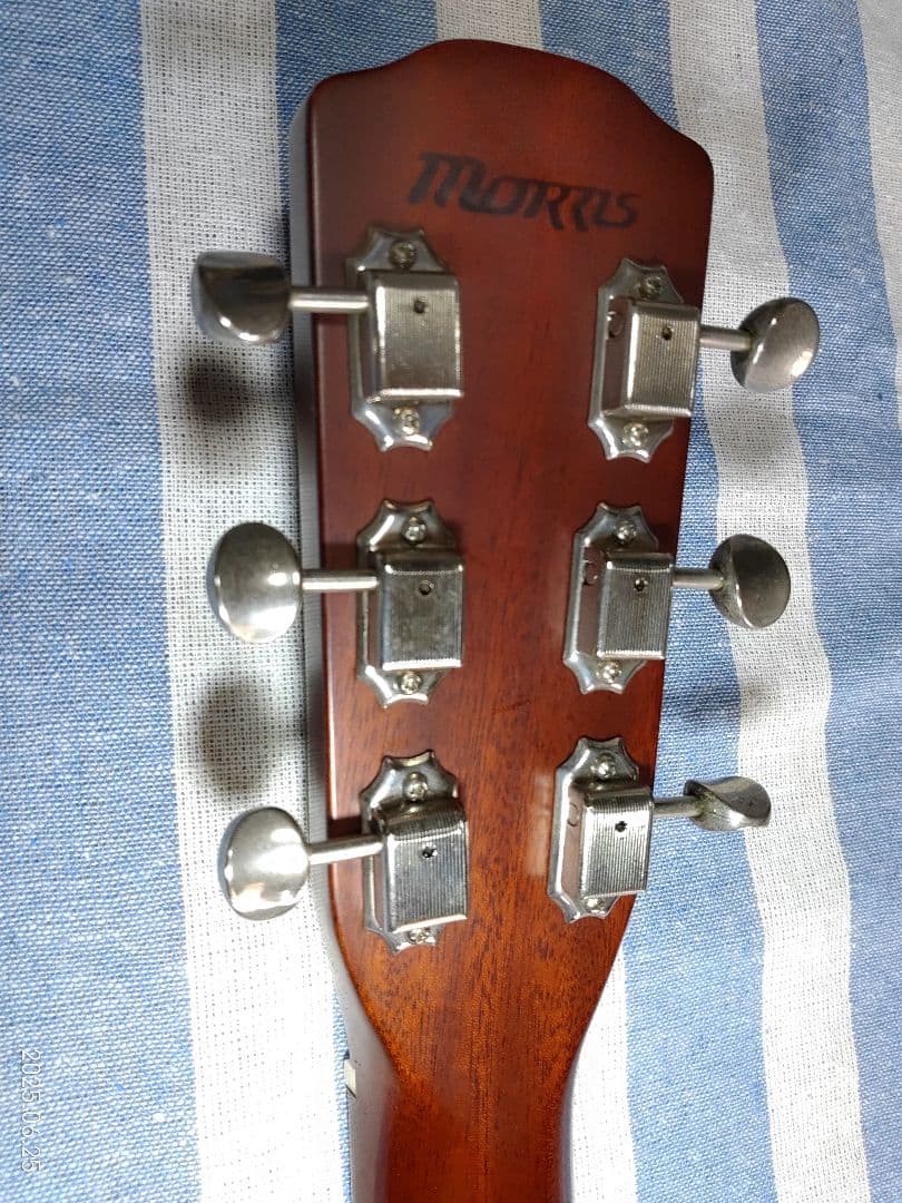 Morrisの12フレットジョイントのNYスタイルギターMY-601tsです