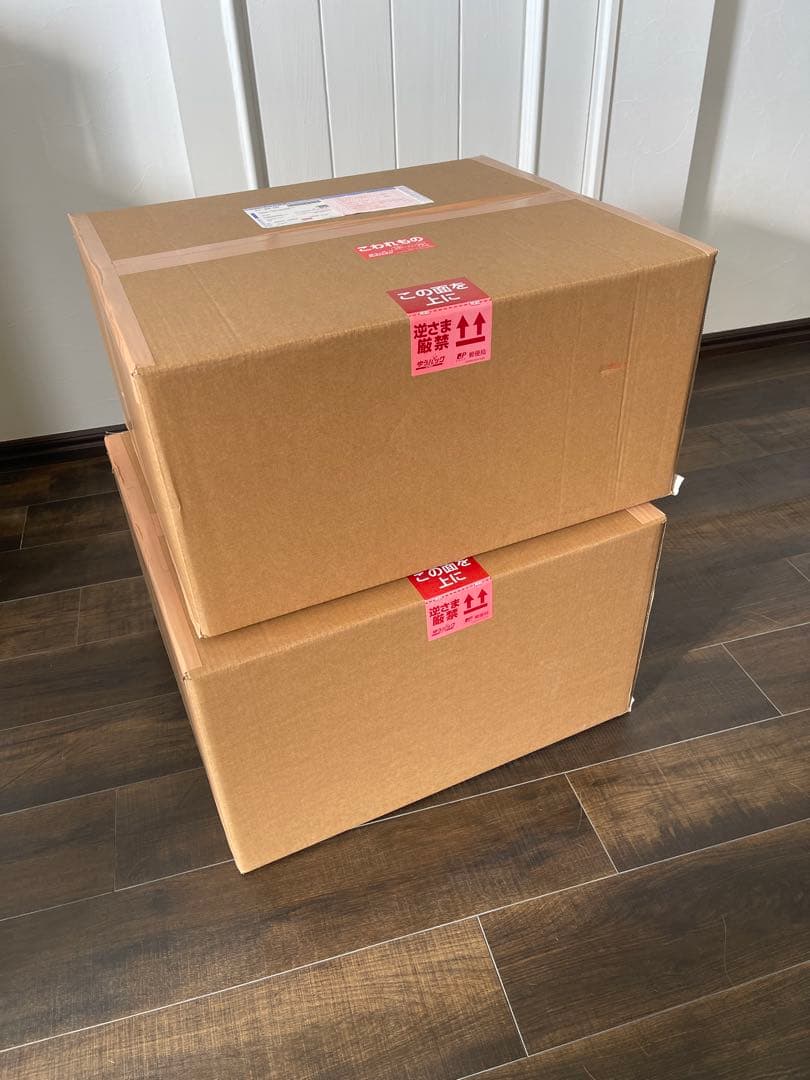 新品 未開封】スパイスシード カイオウ 騎乗ver. 50cm 大型 ラオウ兄