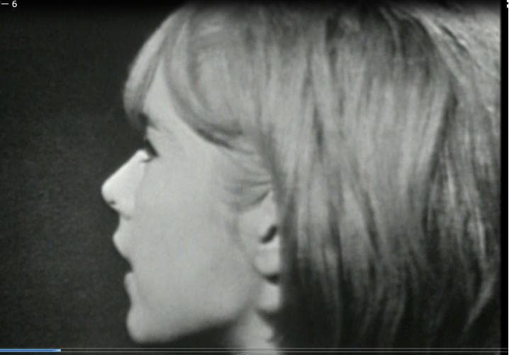 シルヴィ・ファン見逃せない２枚組DVD-6P『Les Annees』