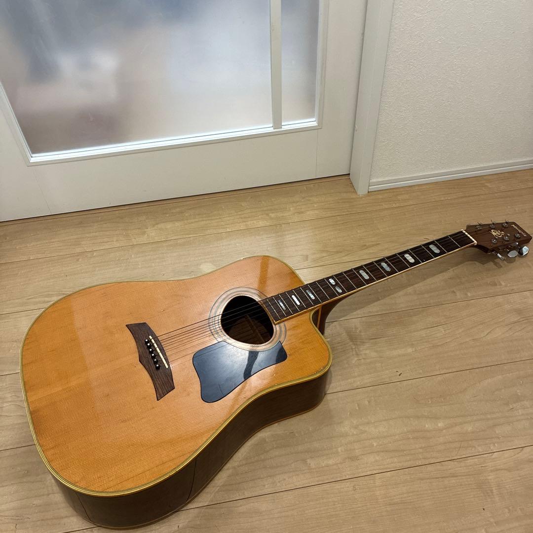 激レア！TF モーリス MORRIS W-621R schallerペグです