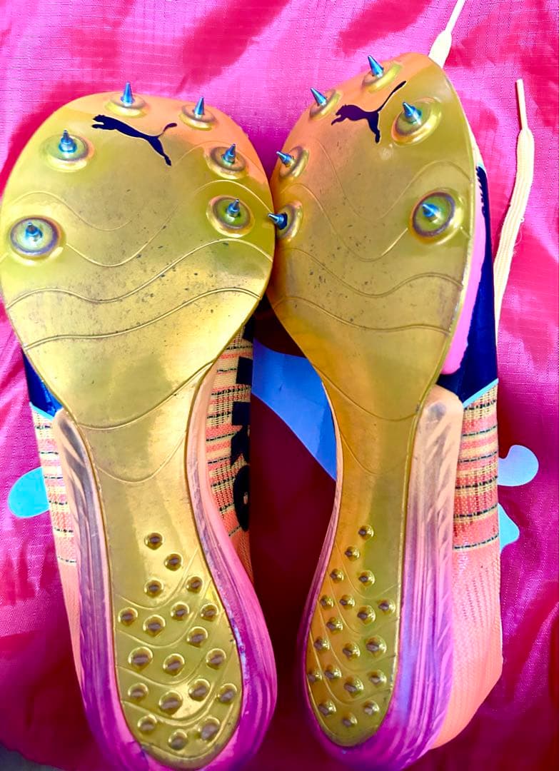 プーマ エヴォスピード フォルテ ニトロ エリート 25.5cm - メルカリ