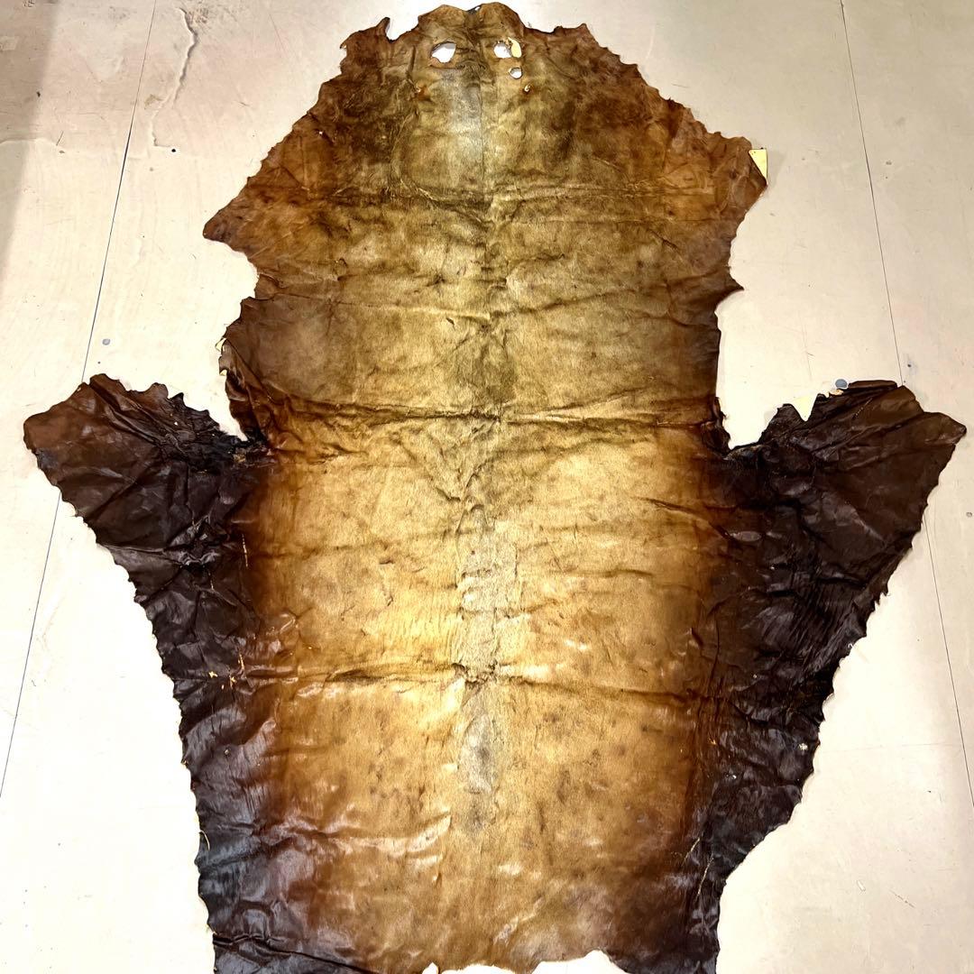 トド毛皮敷物　レザー皮革　海馬　北欧　ファーラグマット　チェア　ソファー　原料⑬ 超特大トド毛皮敷物 レザー皮革 海馬 北欧 ファーラグマット チェア