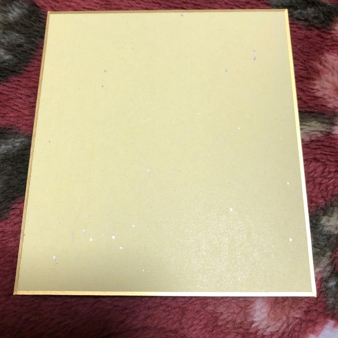 SSPW スーパー・タイガー 直筆サイン色紙 - メルカリ