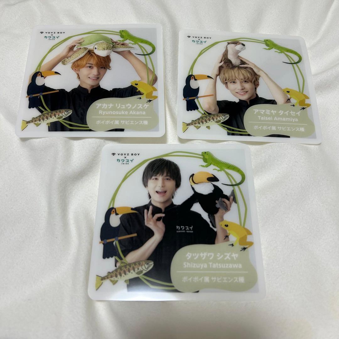 雨宮大晟 voyzboy unify