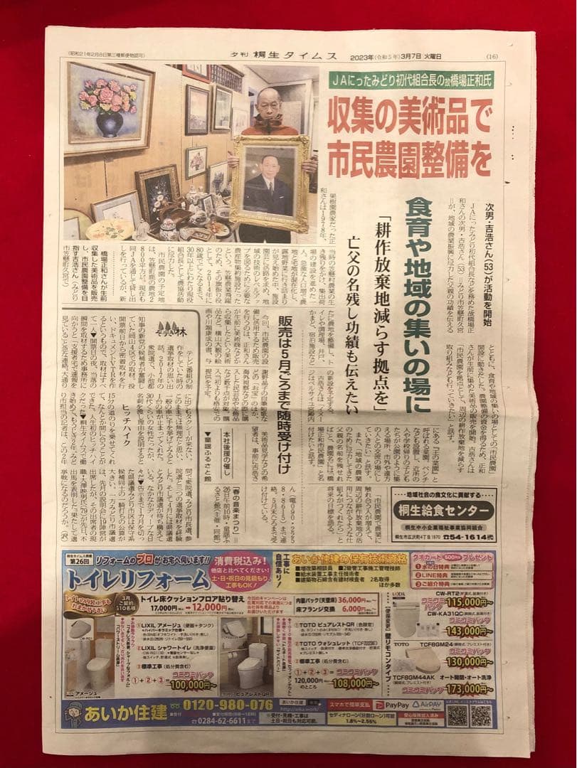 花乙女コレクション【藤岡心象　陽の中で】購入金額より60％お値引き！！